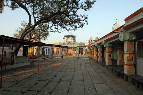 hassanamba temple, hassan