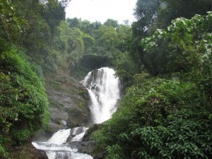 Vibhooti falls, Karwar. Source http://gandhadagudikarnataka.blogspot.in/2009/11/yana-adventure-destination.html
