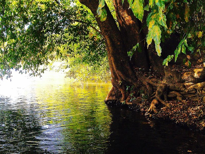 Dandeli, river Kali