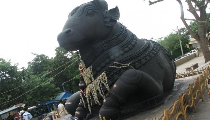 Bull Temple, Bull Temple Bangalore