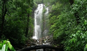 Kollur, Kodachadri Arasinagundi Falls, Kollur