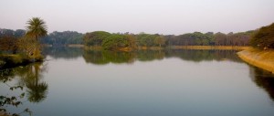 Lalbagh Lake, Bangalore