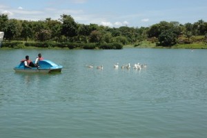 Pilikula Lake, Mangalore