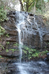 Shanti Falls, Chikmagalur