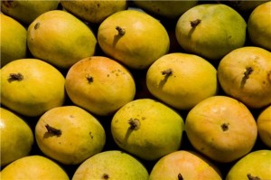 Mango mela, Lalbagh, Bangalore