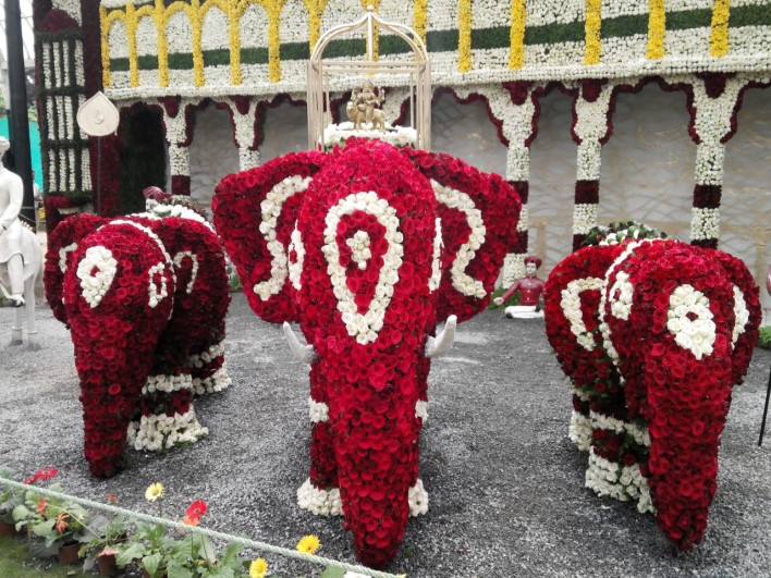 Dasara Procession, Lalbagh Flower show 2014, dasara elephants