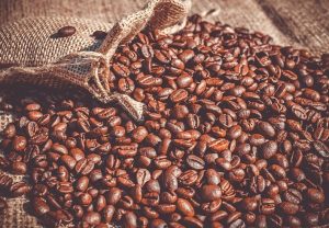 Coffee Producers In Karnataka