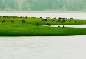 Best Places To Visit In Summer In Karnataka, Kabini. Source Karnataka Tourism